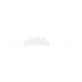 The Times newspaper logo